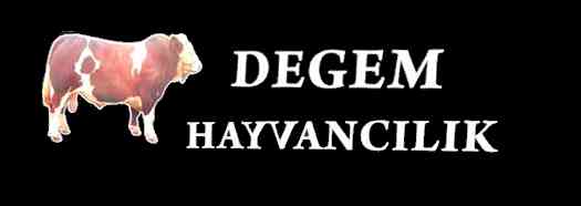 Derince Kocaeli Kurbanlık Satış Yeri